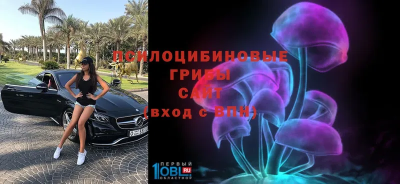 Галлюциногенные грибы MAGIC MUSHROOMS Краснослободск